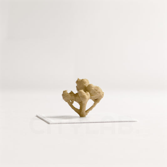 Architectural Tree PRO #31 - 3D Printable Model